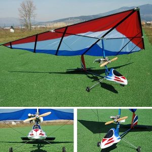 Aereo radiocomandato Icaro
